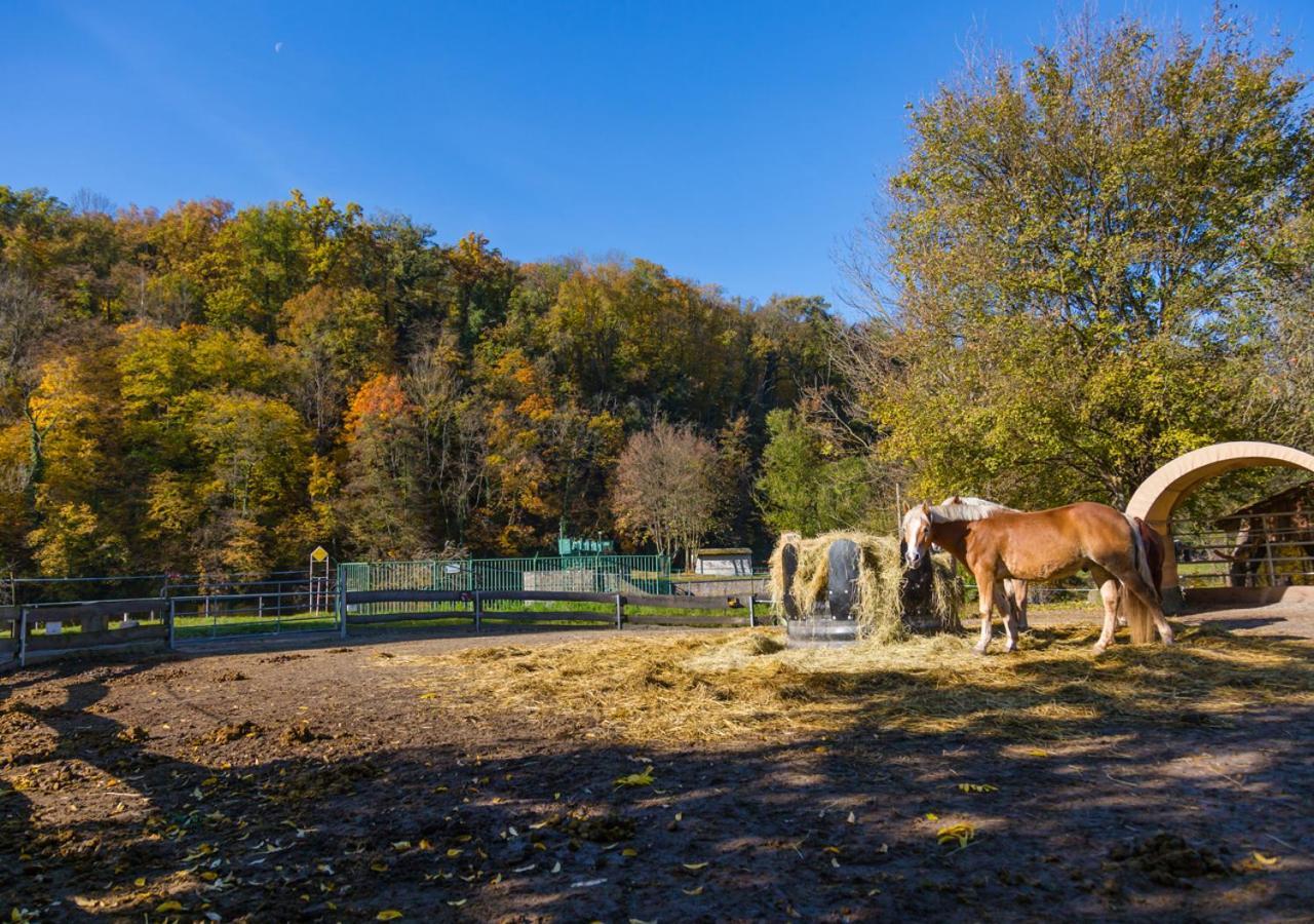 Hotel & Ferienwohnungen Bohlenblick Saalfeld Saale エクステリア 写真