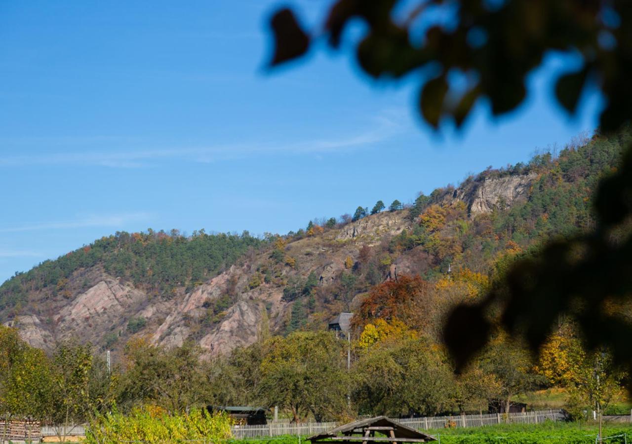 Hotel & Ferienwohnungen Bohlenblick Saalfeld Saale エクステリア 写真
